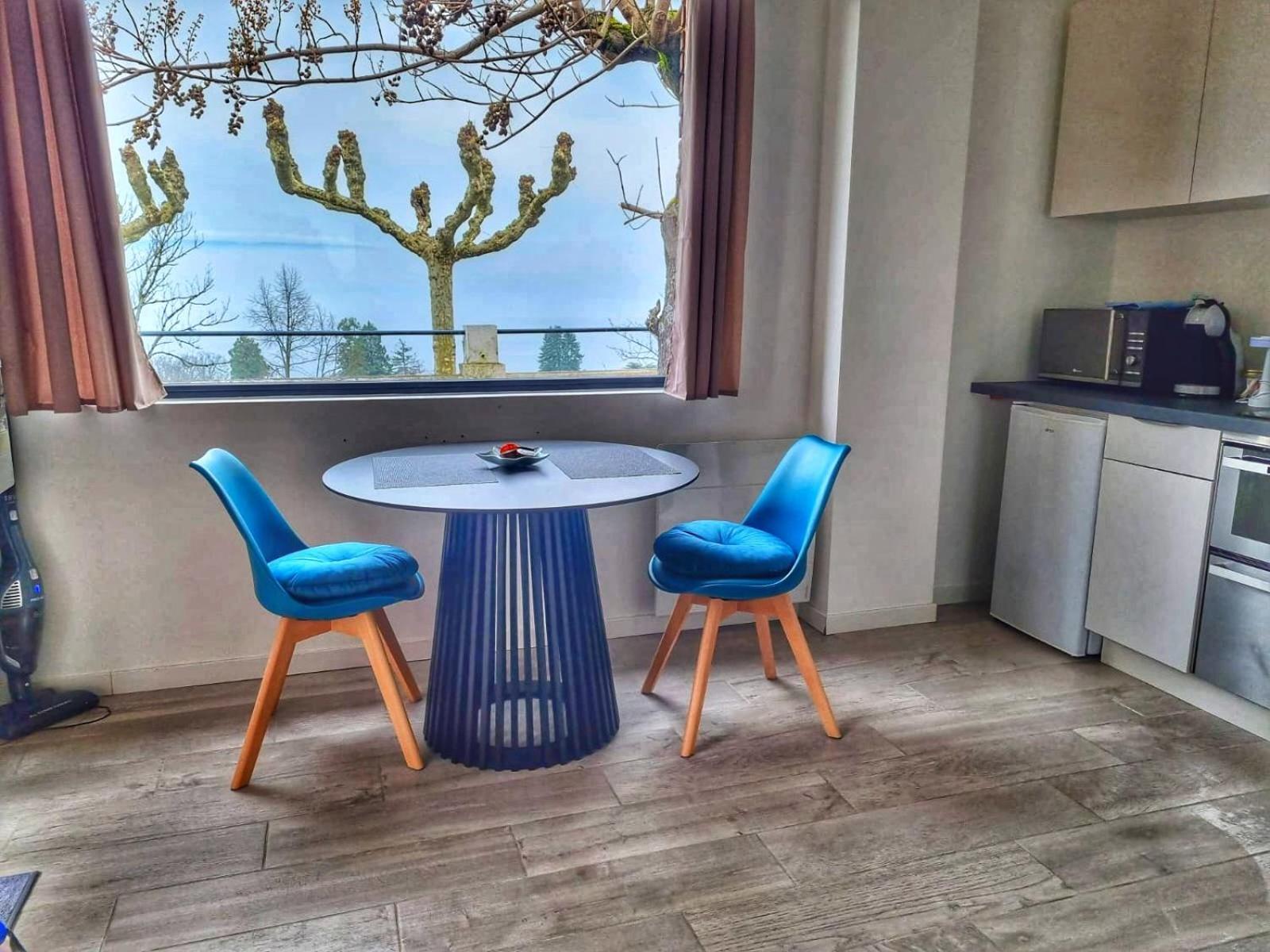 Appartement Cozy 2 Panoramique Lac Leman טונון-לה-בן מראה חיצוני תמונה